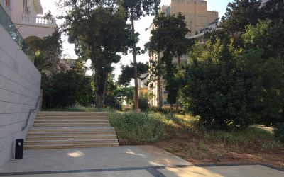 Une coopération utile pour la formation des étudiants du Liban entre la Fondation Charles de Gaulle et l’ESA de Beyrouth