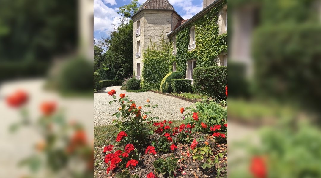 Rosiers Charles de Gaulle et France Libre en vente à La Boisserie