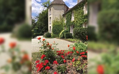 Rosiers Charles de Gaulle et France Libre en vente à La Boisserie