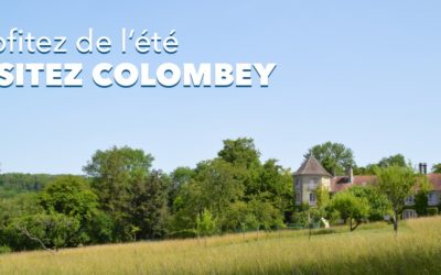 Venez visiter Colombey-les-Deux-Églises les 17 et 18 juin 2023